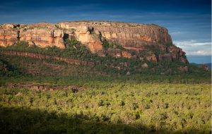 Read more about the article National Park Kakadu