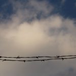 Τα εφημερόπτερα