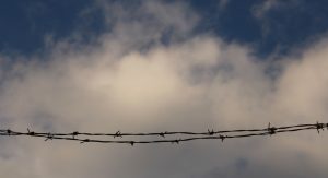 Read more about the article Τα εφημερόπτερα