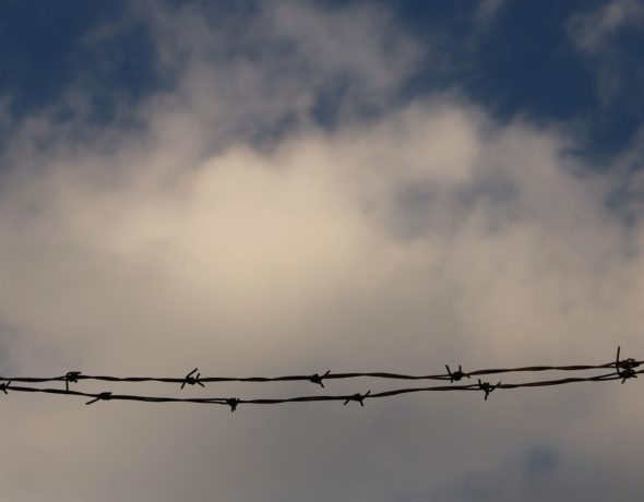 Τα εφημερόπτερα